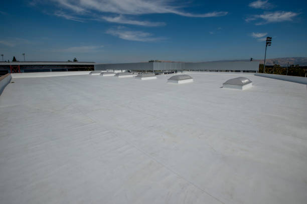 Best Roof Insulation Installation  in Rio Rancho Estates, NM