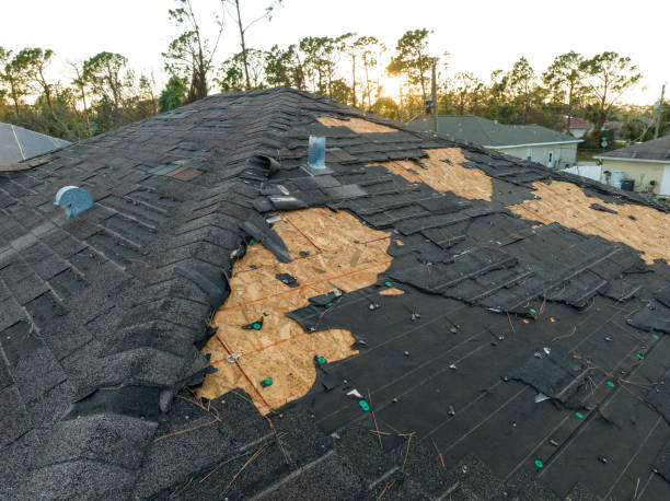 Best Roof Leak Repair  in Rio Rancho Estates, NM